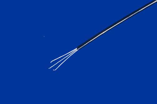 Bronchoscopy retrieval device used to extract heartworms.