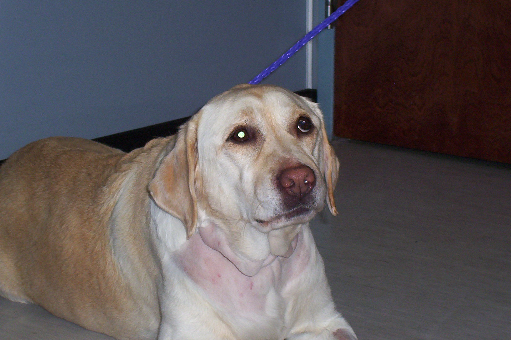 Patient photo