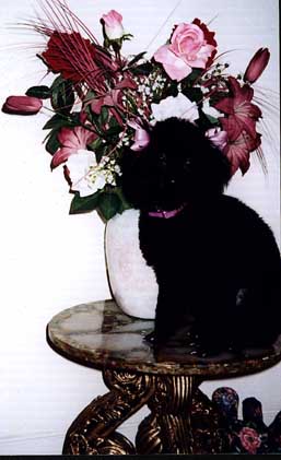 Cindy at the two-month follow-up, now 6 months old and doubled in weight. She appears healthy and alert.